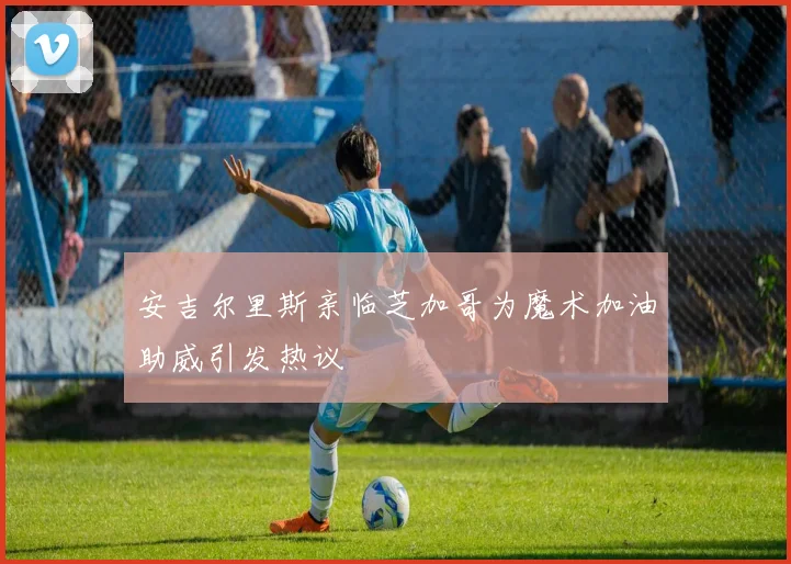 安吉尔里斯亲临芝加哥为魔术加油助威引发热议