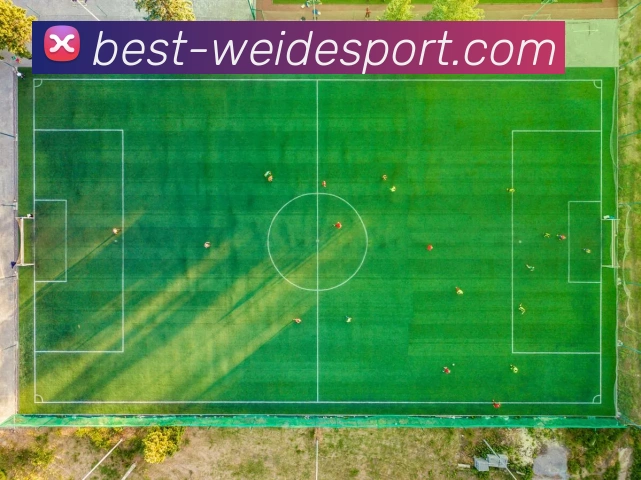 App Interface Preview