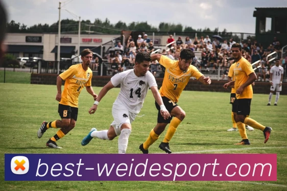 伟德体育APP 封面图